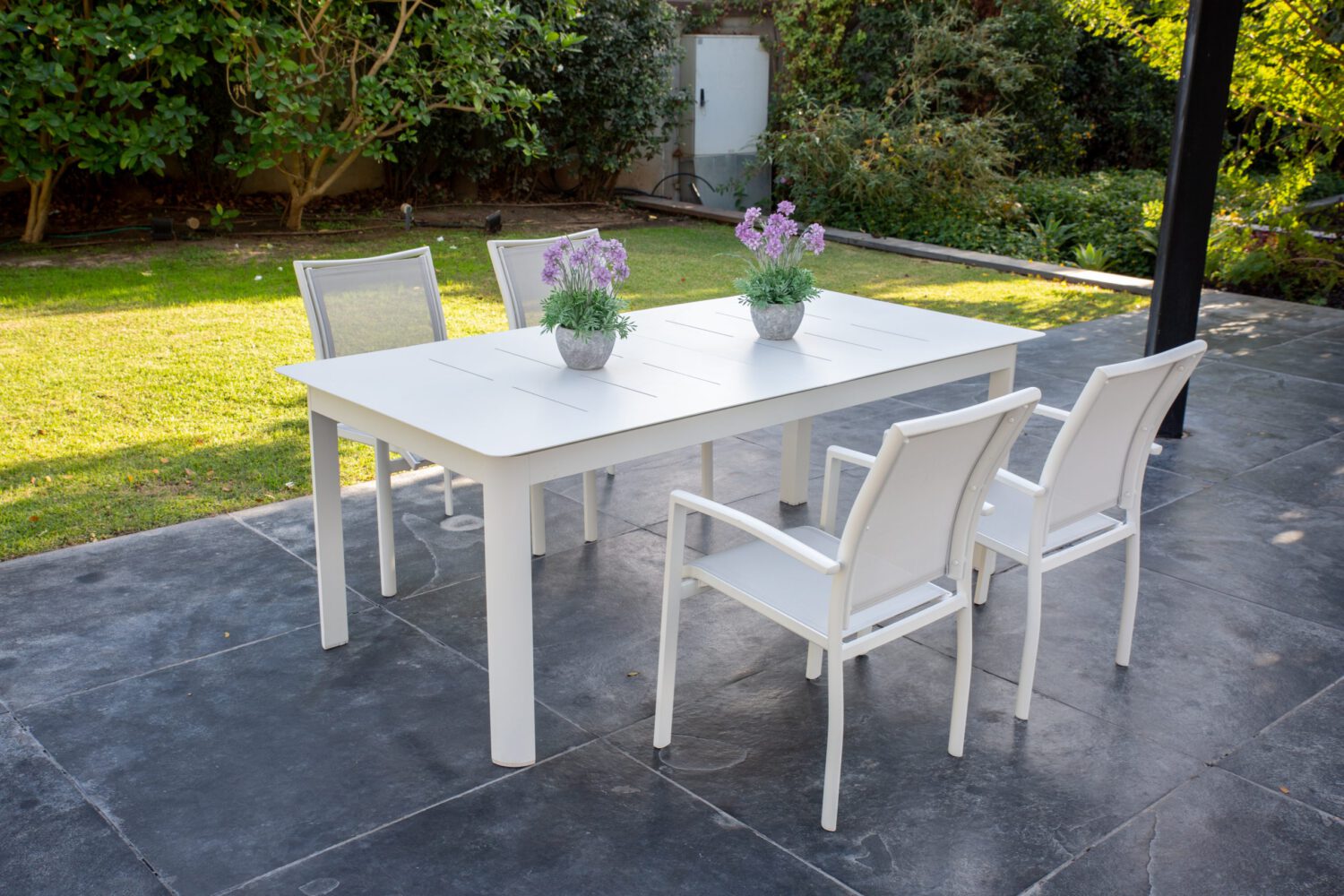 מערכת גן Anise - SCAB