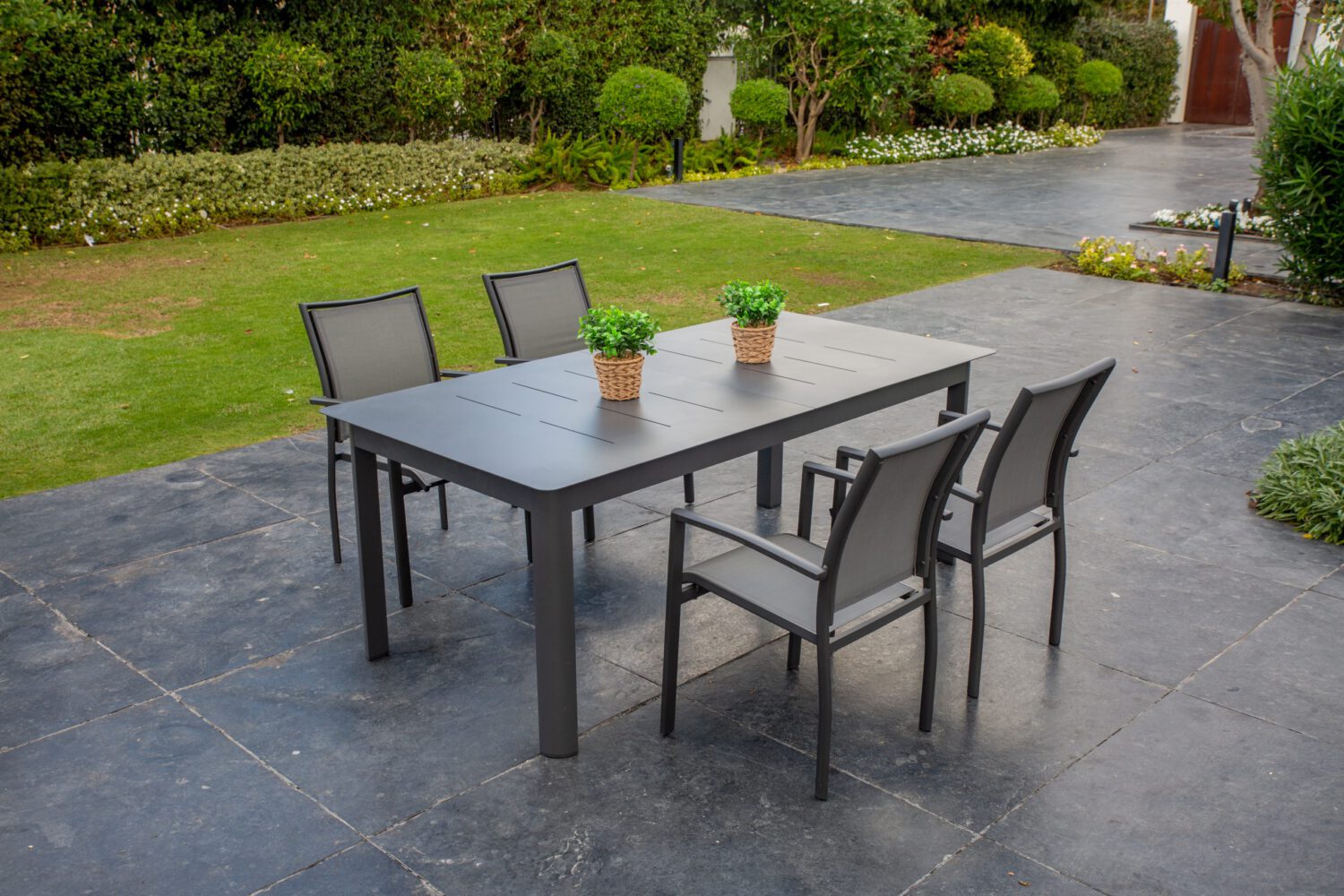 מערכת גן Anise - SCAB